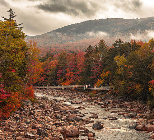 A river in New Hampshire surrounded by trees with autumn leaves